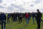 Demo-graslandbemesting-4.jpg