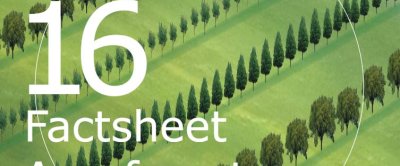 Factsheet Agroforestry 16