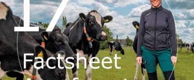 Factsheet 17