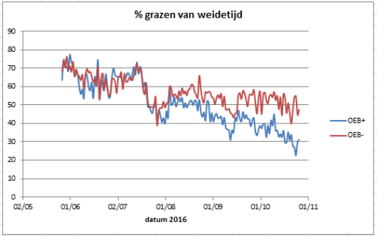 Figuur 2. Verloop van de dagelijkse tijd besteed aan graasgedrag van koeien met veel pensafbreekbaar eiwit krachtvoer (OEB+) en koeien met weinig pensafbreekbaar eiwit krachtvoer (OEB-). De graastijd is uitgedrukt als percentage van de tijd doorgebracht in de wei.