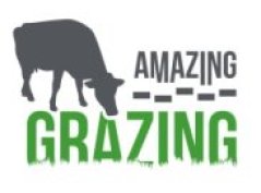 Logo amazing grazing