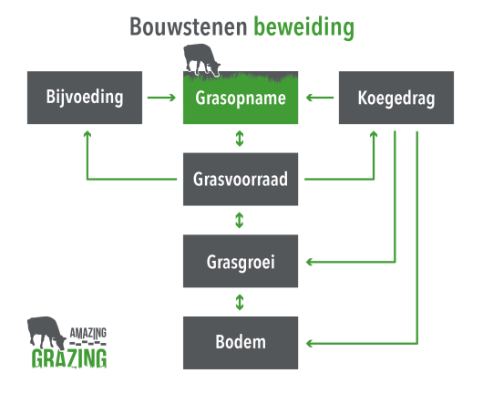 AmazingGrazing-Bouwstenen-Beweiding-l.png AmazingGrazing-Bouwstenen-Beweiding-l.png