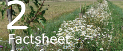 Biodiversiteit vergroten, hoe doe ik dat? 