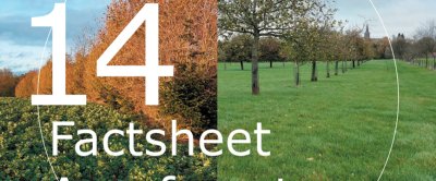factsheet 14.jpg