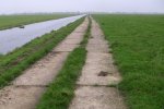 November 2020 nog volop gras