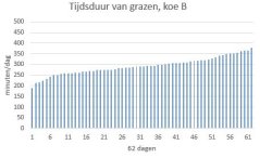 Voorbeeld graasgedrag koe B