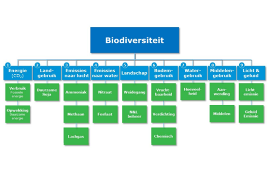 Overzicht aandachtspunten binnen het project Biodiversiteit