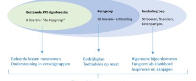 Organigram van de netwerkstructuur op maat