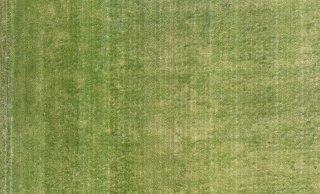 Foto 4.c.: Goed: geen overlap.