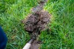 Sleuf met mest 800x533.jpg