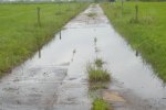 Het kavelpad staat onder water. In het land is het niet veel beter.