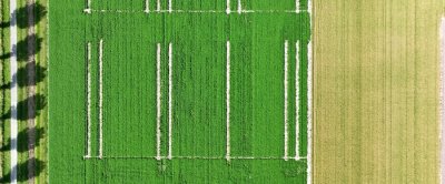 Foto: Joris van der Kamp, Future Farmers Film Productions