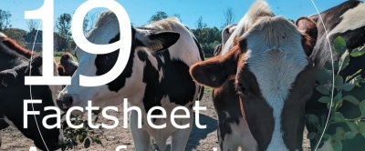 Factsheet Agroforestry 19