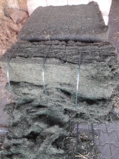 Gedroogd gras op het erf van de familie Post Gedroogd gras op het erf van de familie Post
