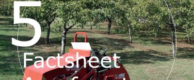 Agroforestry; wat zijn de mogelijkheden van mechanisatie?