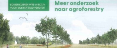 Agroforestry in Ekoland