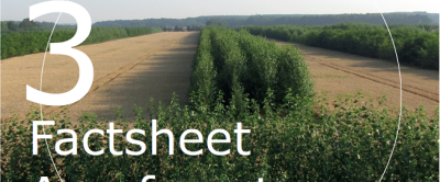Klimaatcompensatie met agroforestry, wat is mogelijk?