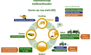 Figuur 1. Aangrijpingspunten waar een melkveehouder aan kan draaien m.b.t. vakmanschap (blauw en groen) en de invloed daarop vanuit beleid (oranje).