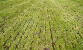 Foto 1.a. Fout; mest stroomt over sleuf