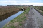 De percelen van Grondman in het vroege voorjaar. 