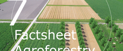 Agroforestry Factsheet 7