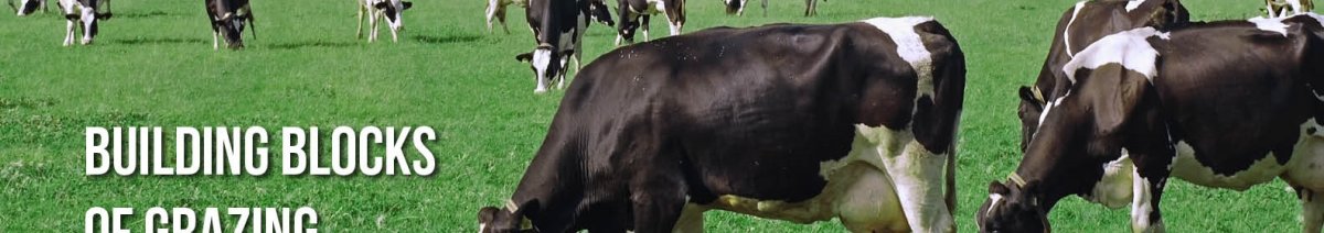BuildingBlocksofGrazing-Amazinggrazing.jpg