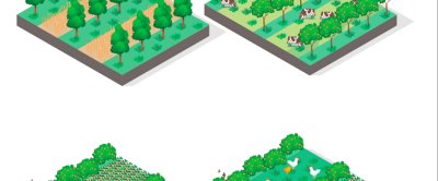 Verkenning naar de potentie van agroforestry als oplossingsrichting voor de stikstofproblematiek in de provincie Zeeland