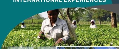 Inspiratiedocument Agroforestry