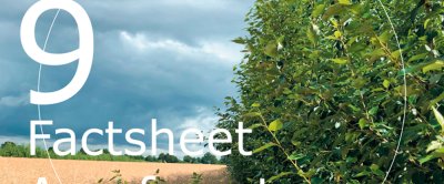 Agroforestry fact 9