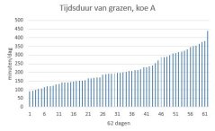 Voorbeeld graasgedrag koe A