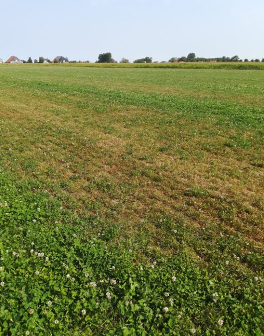 Droogte-20180720-WA0004 v2.jpg Droogte-20180720-WA0004 v2.jpg