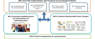 Klik op de afbeelding voor een vergroting van een overzicht van de projectaanpak