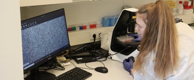 Romy Dresken bestudeert een beeld van een van de celkweken in het laboratorium.