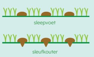 Afbeelding: Schema sleepvoet en sleufkouter.