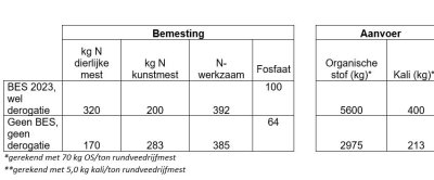 beeld.JPG