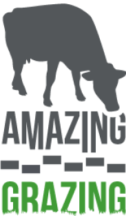 <L CODE="C06">Amazing Grazing</L>