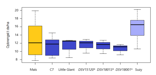 Figuur 1: Opbrengst van mais en verschillende sorghumrassen. Geel is mais, donkerblauw zijn de zetmeeltypen, lichtblauw is een structuurtype. *Rassen in testfase Figuur 1: Opbrengst van mais en verschillende sorghumrassen. Geel is mais, donkerblauw zijn de zetmeeltypen, lichtblauw is een structuurtype. *Rassen in testfase
