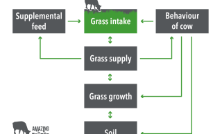 Building blocks of grazing