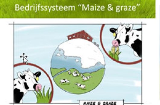 Maize & graze Maize & graze