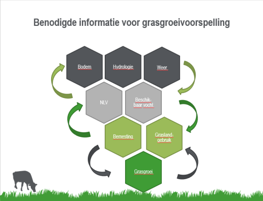 afebeeldinggrasopname.png afebeeldinggrasopname.png