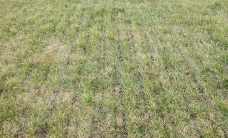 Foto 4.a.: Fout: overlap van rijbanen
