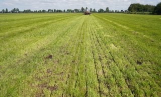 Foto 1.b. Fout: sleuf staat droog