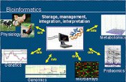 Bioinformatics.jpg