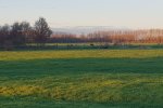 Tot laat in het seizoen halen de dieren zelf vers gras op in de wei