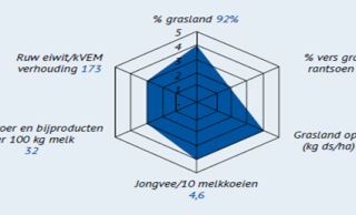 Voorbeeld van radardiagram met factoren die van invloed van invloed zijn op eiwit van eigen land.